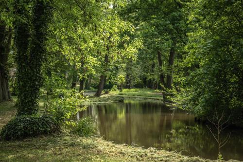 a pond in a park with trees and a river at Helene in Vetschau