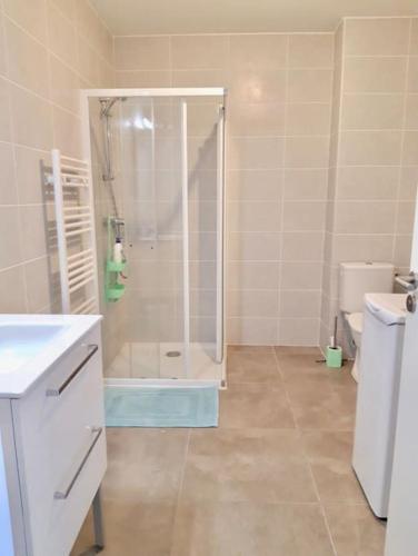 une salle de bain avec douche et toilettes dans l'établissement Bide Ona - Centre - Terrasse - Parking, à Bayonne