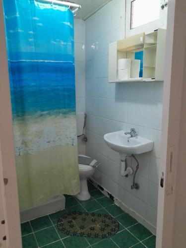 La salle de bains est pourvue d'un lavabo, de toilettes et d'une douche. dans l'établissement Ikaros, au Pirée