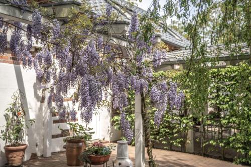 a garden with wisteria hanging from a building at Scheunenhaus Kienspan in Tornitz