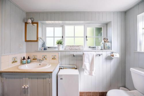 a bathroom with a sink and a toilet at Margo's Cottage, Orford in Orford
