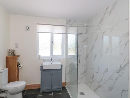 ein Bad mit einem WC, einem Waschbecken und einer Dusche in der Unterkunft Watermead Lodge in Taunton
