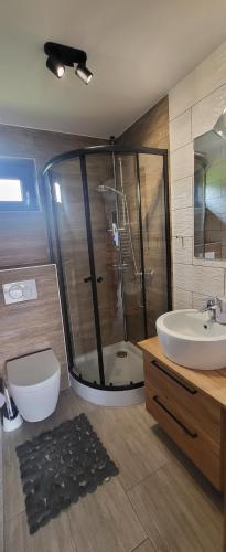 a bathroom with a shower and a toilet and a sink at Pod Chmurką in Solina