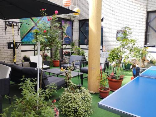 a patio with plants and a blue table at Hostel Put Svile in Subotica