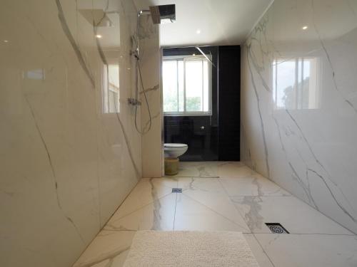 a bathroom with a shower and a toilet at Villa Pauline in Avignon
