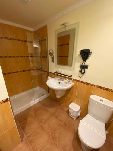 a bathroom with a toilet and a shower and a sink at Hotel rural Monasterio de Ara Mada in Santa Colomba de las Arrimadas