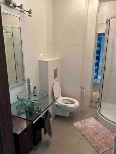 W łazience znajduje się szklana umywalka i toaleta. w obiekcie Piękny apartament blisko Malty z garazem w Poznaniu