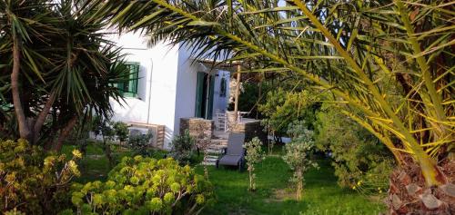 a garden with palm trees and a white house at ANCIENT MEROPIA, Apollonia in Apollonia
