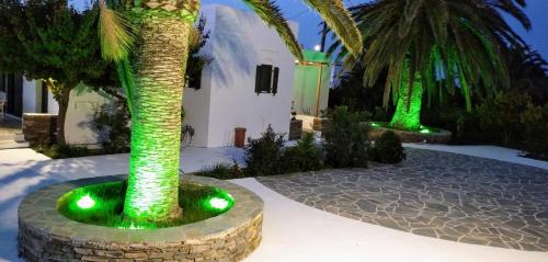 a resort with two palm trees with green lights at ANCIENT MEROPIA, Apollonia in Apollonia