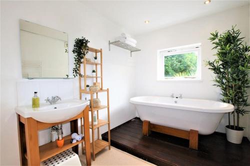 y baño con bañera, lavabo y espejo. en Lovely 2BR home with sunny garden in Montpelier en Bristol