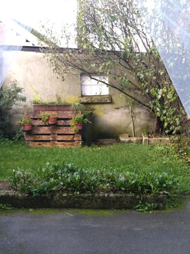 une maison avec une fenêtre et des plantes devant elle dans l'établissement Charmante chambre dans village jurassien, à Nogna