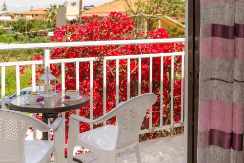 Gallery image of Theodora Studios in Argasi