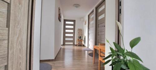 a hallway of a house with a potted plant at Pokoje i Apartamenty na Szkolnej in Zator