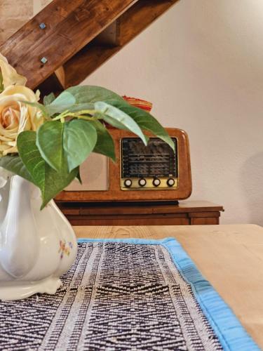 a vase with a plant in it sitting on a table at Casa Vacanze L'Ulivo di Ugo in Quartu SantʼElena