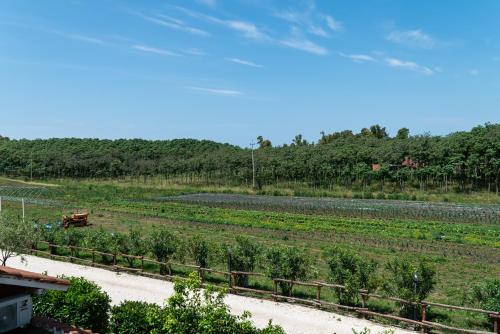 Taman di luar Agriturismo il Casale