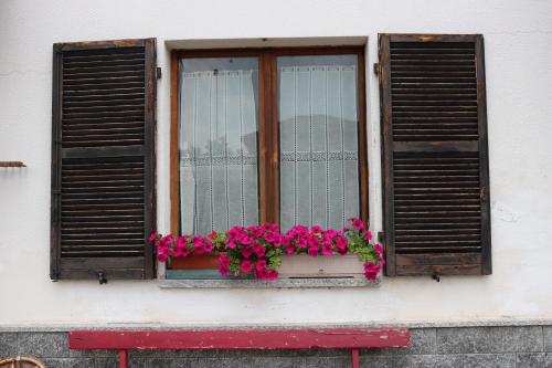 a window with pink flowers in a window box at GABRY GUEST HOUSE in Bruno