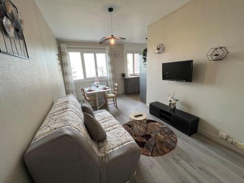 - un salon avec un canapé et une table dans l'établissement logement entier spacieux/lumineux/parking privé, à Toulouse