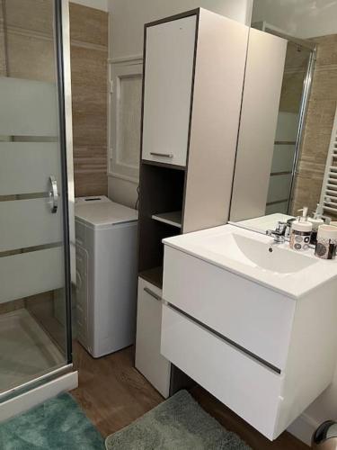 La salle de bains blanche est pourvue d'un lavabo et d'une douche. dans l'établissement logement entier spacieux/lumineux/parking privé, à Toulouse