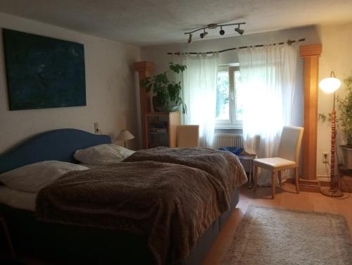 um quarto com uma cama, uma cadeira e uma janela em Retreat Wilderness Lössnitz-Hochland Moritzburg OT Reichenberg em Moritzburg