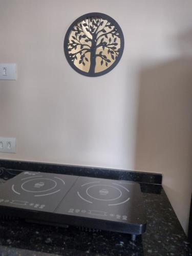 a stove top in a kitchen with a tree sticker on the wall at Stúdio lindo no Tatuapé in Sao Paulo