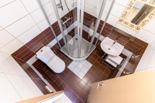 a bathroom with a shower and a toilet and a sink at CAMELIA CENTRE APARTMENT in Palanga