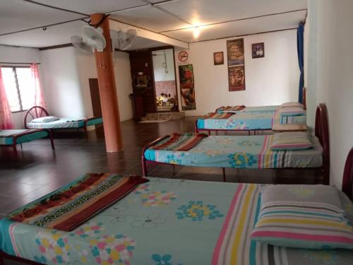 a room with three beds in a room at MULU BACKPACKER HOMESTAY in Mulu
