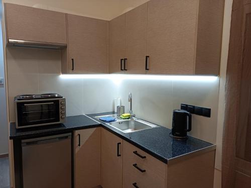 a kitchen with a sink and a microwave at Apartment Dipla 3 in Athens