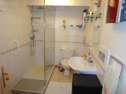 ein Bad mit einer Dusche, einem WC und einem Waschbecken in der Unterkunft GITE DU PUITS DE LA BARRE in Sompt