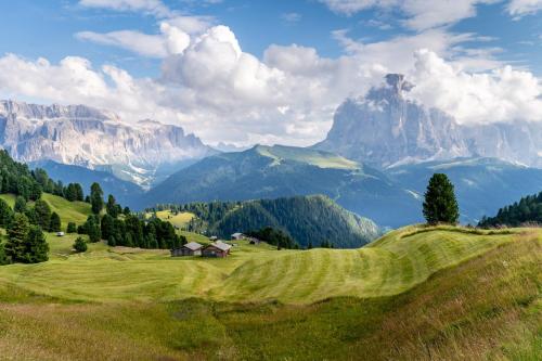 a grassy hill with a house and mountains in the background at Muller Private Rooms in Ortisei