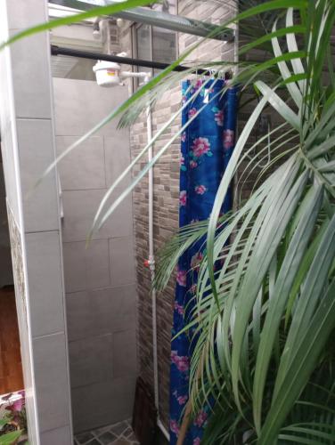 a bathroom with a blue shower curtain and a plant at Nora's HomeStay Laureles in Medellín