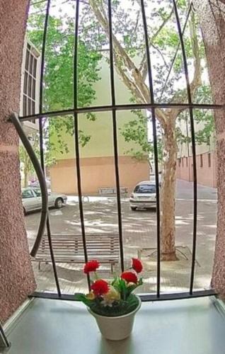 Apartamento - 9min Estadio METROPOLITANO