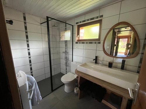 La salle de bains est pourvue d'un lavabo, de toilettes et d'un miroir. dans l'établissement Chalet Les Sapins sauna au pied des pistes, à La Bresse