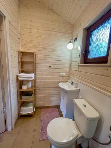 a bathroom with a white toilet and a sink at Domek w Borsku in Borsk