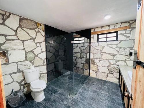 baño con aseo y pared de piedra en Finca Bermúdez - Cabaña La Uva, en Huasca de Ocampo