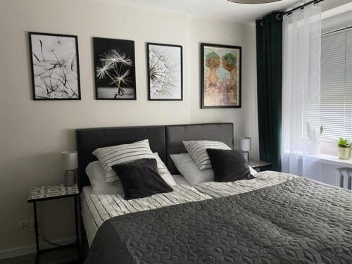 a bedroom with a bed with four pictures on the wall at Apartament Schodami do Nieba in Bytom