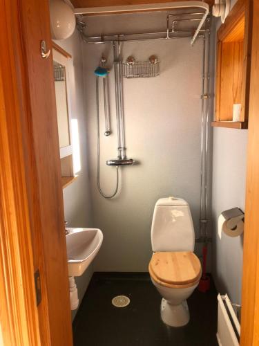 a small bathroom with a toilet and a sink at Villa Wargquist in Djuras