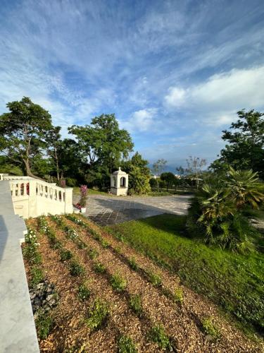 a field of crops with a building in the background at Villa De Cillis Carafa in Torre del Greco