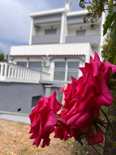 Gallery image of Villa Rosa Rooms in Punat