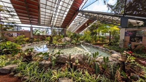 un salón acristalado con un estanque con plantas y rocas en Hotel Catalina en Orizaba