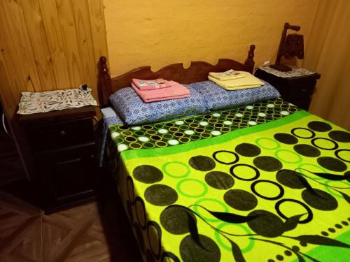 a bedroom with a bed with a green and black comforter at Departamento LA LILI in Uspallata