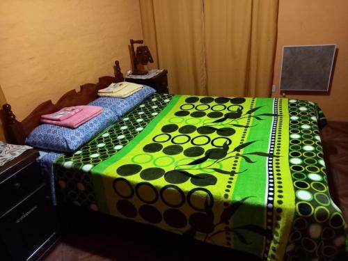 a bedroom with a bed with a green and black blanket at Departamento LA LILI in Uspallata