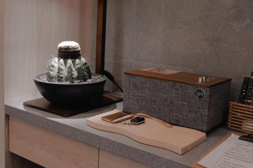 a cactus in a bowl on a counter next to a box at 伊莉莎白甜夜 in Magong