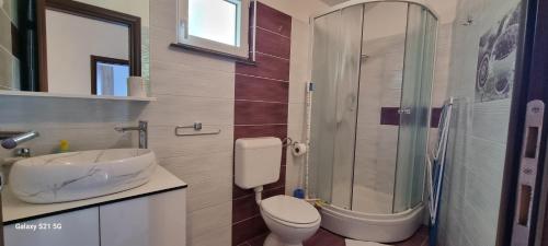 łazienka z toaletą, umywalką i prysznicem w obiekcie Apartment Petra w mieście Starigrad-Paklenica