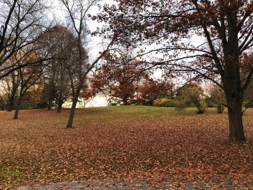 a pile of leaves on the ground in a park at Antique Mansion B & B in Rutland