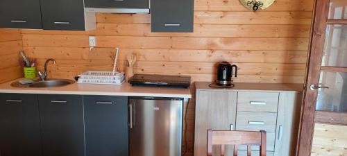 a kitchen with a stainless steel refrigerator and a sink at Domek letniskowy u Bodzia in Kruklanki