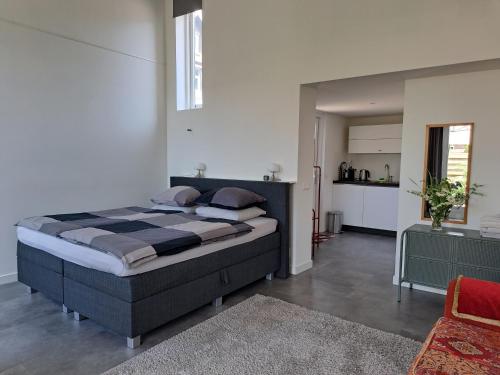 een slaapkamer met een groot bed in een kamer bij luxe ruime studio op unieke, rustige locatie in Dokkum