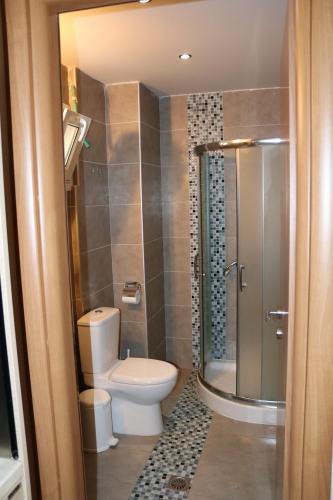 a small bathroom with a toilet and a shower at Thea Siviri in Siviri