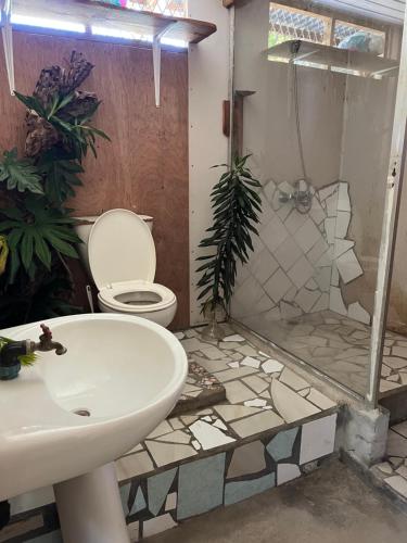 a bathroom with a toilet and a sink and a shower at ALAROOTS HUAHINE in Haapu