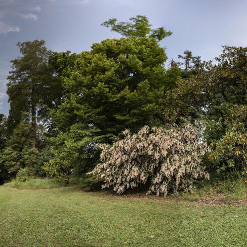 Zahrada ubytování Le Domaine de Langlardie