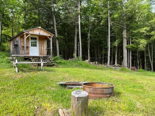 a small cabin in the middle of a field at The Brookside Lodge & Cottage in Dover